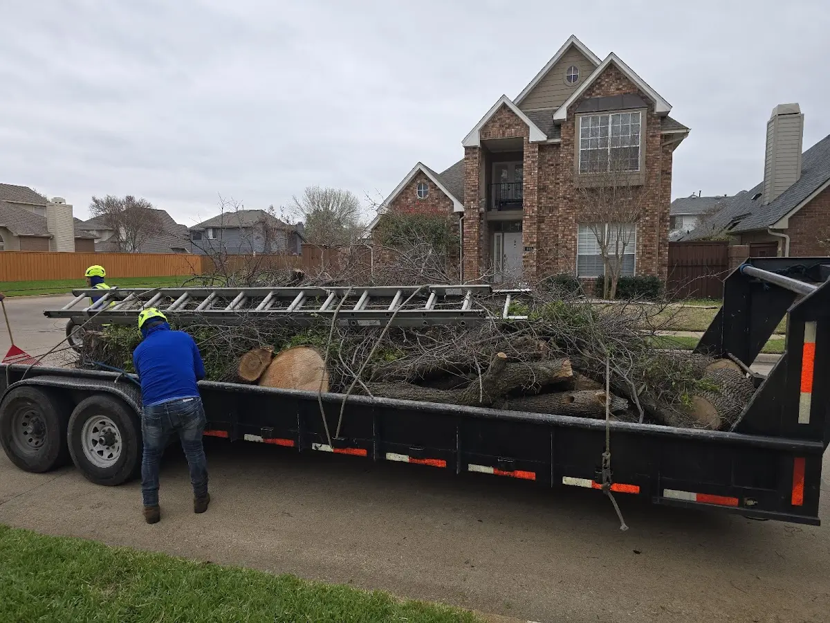 Expert Tree Removal with proper safety equipment in Fletcher
